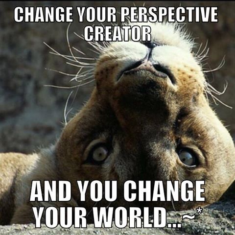 Change your perspective and you change your world