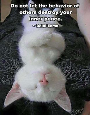 Don't let the behavior of others destroy your inner peace